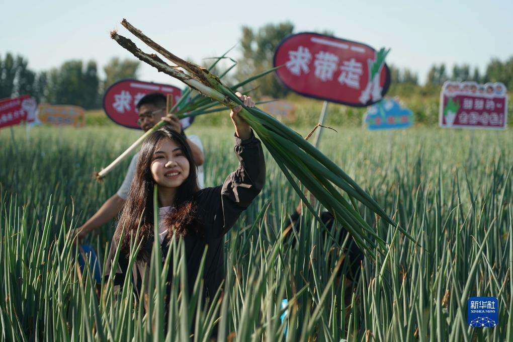 波克捕鱼微信转区